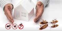 Residential Pest Control Brisbane image 3